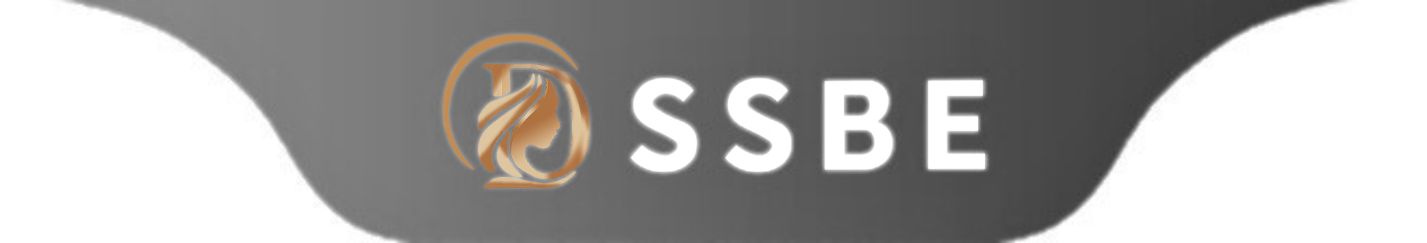 SSBE